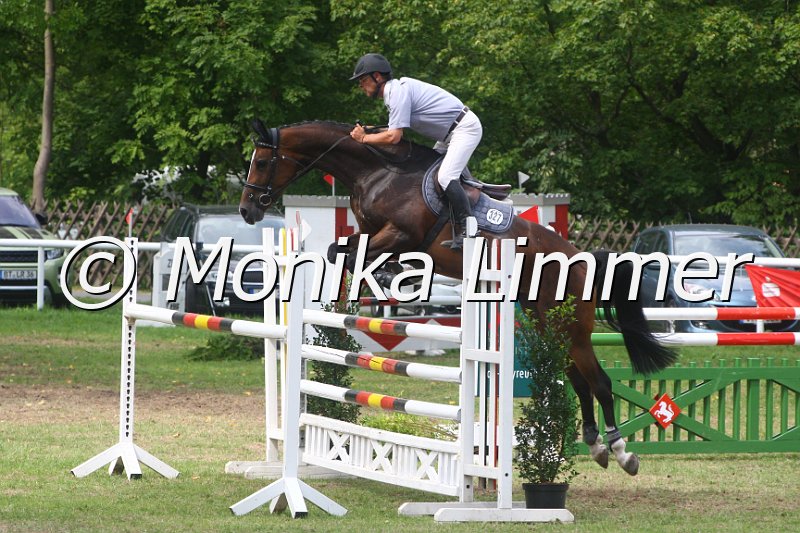 308M5266_Taquadriga_Springpferde Mx.JPG